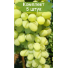 Саженцы винограда Августин (Ранний/Белый) - 5 шт.: фото и описание
